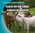 Goats on the Farm / Cabras de granja by Rose Carraway, 9781433973987