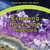 Exploring Rocks and Minerals by Greg Roza, 9781448885763