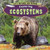Exploring Ecosystems by Ella Hawley, 9781448861750
