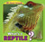 What's a Reptile? - 9781448862269 by Anna Kaspar, 9781448862269
