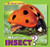 What's an Insect? - 9781448862368 by Anna Kaspar