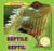 What's a Reptile? / ¿Qué es un reptil? by Anna Kaspar, Eduardo Alamán, 9781448867004