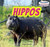 Hippos - 9781448873920 by Clara Reade, 9781448873920