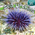 Sea Urchins - 9781448874002 by Meryl Magby, 9781448874002