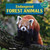 Endangered Forest Animals by Marie Allgor, 9781448874248