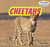 Cheetahs - 9781448874644 by Clara Reade, 9781448874644