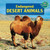 Endangered Desert Animals - 9781448874965 by Marie Allgor, 9781448874965