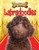 Labradoodles - 9781448878574 by Ruth Owen, 9781448878574