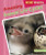 Amazing Animal Life Cycles - 9781448881000 by Alix Wood, 9781448881000