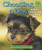 Choosing a Dog (How to Choose and Care for a Dog) by Laura S. Jeffrey, 9780766040809
