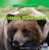 Why Do Animals Hibernate? - 9781433981760 by Michael Ulinski