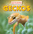 Geckos - 9781433983641 by Kathleen Connors, 9781433983641