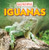 Iguanas - 9781433983757 by Kathleen Connors
