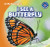 I See a Butterfly by Alex Appleby, 9781433985430