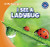 I See a Ladybug by Alex Appleby, 9781433985553