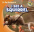 I See a Squirrel - 9781433985607 by Alex Appleby, 9781433985607