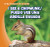 I See a Chipmunk / Puedo ver una ardilla rayada (Bilingual Edition) by Alex Appleby, 9781433987946