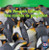 A Penguin Colony / Una colonia de Pingüinos (Bilingual Edition) by Autumn Leigh, 9781433988080