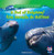 A Pod of Dolphins / Una manada de delfines (Bilingual Edition) by Matthew Fenner, 9781433988103