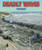 Deadly Waves (Tsunamis) - 9781464401091 by Mary Dodson Wade