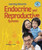 Learning About the Endocrine and Reproductive Systems - 9781464402371 by Melissa L. Kim