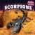 Scorpions - 9781448896332 by Rachel Lynette, 9781448896332