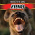 Hyenas - 9781448896738 by Julia J. Quinlan, 9781448896738
