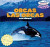 Orcas / Las orcas by Eduardo Alamán, Sam Drumlin, 9781448899753