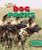Dog Packs - 9781477703045 by Louise Spilsbury, Richard Spilsbury, 9781477703045