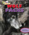 Wolf Packs - 9781477703076 by Louise Spilsbury, Richard Spilsbury, 9781477703076