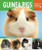 Guinea Pigs (Keeping and Caring for Your Pet) - 9781464402999 by Angela Beck, 9781464402999