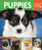 Puppies (Keeping and Caring for Your Pet) - 9781464403057 by Brigitte Harries, 9781464403057