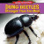 Dung Beetles: Stronger Than Ten Men! - 9781477707487 by Emma Carlson Berne, 9781477707487