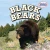Black Bears - 9781477707913 by Meryl Magby, 9781477707913