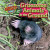 Gruesome Animals in the Ground - 9781615337347 by Alix Wood, 9781615337347