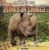 Rhinos in Danger by Lydia Snyder, 9781433991592