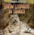 Snow Leopards in Danger by Sofia Maimone, 9781433991745