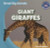 Giant Giraffes - 9781433994296 by Ryan Nagelhout, 9781433994296