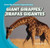 Giant Giraffes / Jirafas gigantes (Bilingual Edition) by Ryan Nagelhout, 9781433994449