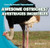 Awesome Ostriches / Avestruces increíbles (Bilingual Edition) by Ryan Nagelhout, 9781433994500