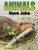 Animals Have Jobs by Nadia Ali, 9780756571955