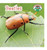 Beetles - 9781608702411 by Trudi Strain Trueit, 9781608702411