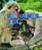 How Animals Feel - 9781627120227 by Rebecca Stefoff, 9781627120227