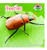 Beetles - 9781627120272 by Trudi Strain Trueit, 9781627120272