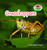 Grasshoppers - 9781627120296 by Trudi Strain Trueit, 9781627120296