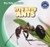 Itty Bitty Ants - 9781433998768 by Jasper Baer