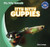 Itty Bitty Guppies - 9781433998843 by Alex Lumpy
