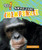 Save the Chimpanzee - 9781477760437 by Louise Spilsbury, 9781477760437