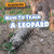 How to Track a Leopard - 9781615338856 by Dory Zane, 9781615338856