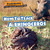 How to Track a Rhinoceros - 9781615338863 by Dory Zane, 9781615338863